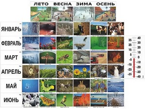 Фенологические наблюдения - fgospostavki.ru - Новочеркасск