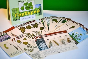 Гербарий к курсу основ общей биологии - fgospostavki.ru - Новочеркасск