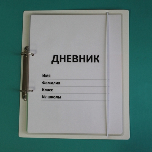 Дневник школьника (с полным набором карточек) - fgospostavki.ru - Новочеркасск