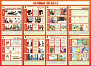 Стенд "Личная гигиена" - fgospostavki.ru - Новочеркасск