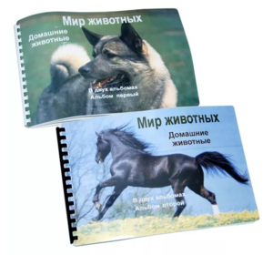 Пособие для слабовидящих - Домашние животные - fgospostavki.ru - Новочеркасск