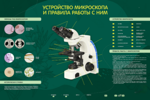 Электрифицированный стенд "Устройство микроскопа и правила работы c ним" - fgospostavki.ru - Новочеркасск