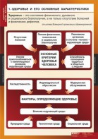 Комплект таблиц. ОБЖ. Здоровый образ жизни. - fgospostavki.ru - Новочеркасск