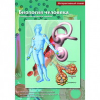 Интерактивные плакаты. Биология человека. Программно-методический комплекс - fgospostavki.ru - Новочеркасск