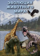 DVD "Эволюция животного мира" - fgospostavki.ru - Новочеркасск