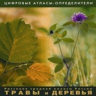 Растения средней полосы России "Травы и Деревья". (Цифровые атласы-определители) - fgospostavki.ru - Новочеркасск