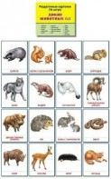 Раздаточные карточки "Дикие животные (1)" - fgospostavki.ru - Новочеркасск