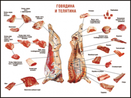 Таблица "Правила разделки мясных туш. Говядина и телятина" (100х140 сантиметров, винил) - fgospostavki.ru - Новочеркасск