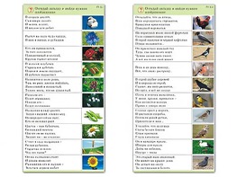 Комплект карточек (10) "Обучающий калейдоскоп. Природа" - fgospostavki.ru - Новочеркасск