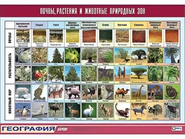 Таблица демонстрационная "Почвы, растения и животные природных зон" (винил 70*100) - fgospostavki.ru - Новочеркасск