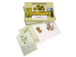 Гербарий "Для начальной школы" (30 видов, с иллюстрациями) - fgospostavki.ru - Новочеркасск