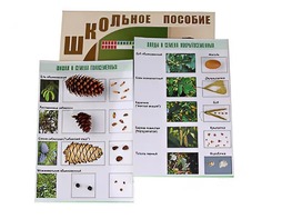 Коллекция "Шишки, плоды, семена деревьев и кустарников" - fgospostavki.ru - Новочеркасск