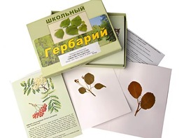 Гербарий "Систематика растений. Семейство Розоцветные" (раздаточный) - fgospostavki.ru - Новочеркасск