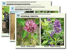 Гербарий фотографический "Сельскохозяйственные растения России" - fgospostavki.ru - Новочеркасск