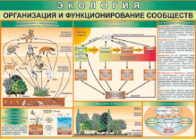 Таблица "Организация и функционирование сообществ" (100х140 сантиметров, винил) - fgospostavki.ru - Новочеркасск