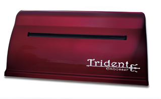 Принтер для печати рельефно-точечным шрифтом Брайля Trident - fgospostavki.ru - Новочеркасск