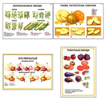 Плакаты ПРОФТЕХ "Ассортимент овощных культур" (12 пл, винил, 70х100) - fgospostavki.ru - Новочеркасск