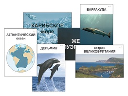 Модель-аппликация "Океаны. Знакомство" (ламинированная) - fgospostavki.ru - Новочеркасск