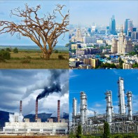 Модель-аппликация Биосфера и человек - fgospostavki.ru - Новочеркасск