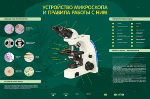 Электрифицированный стенд "Устройство микроскопа и правила работы c ним" - fgospostavki.ru - Новочеркасск
