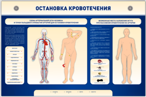 Электрифицированный стенд-тренажер "Остановка кровотечения" - fgospostavki.ru - Новочеркасск