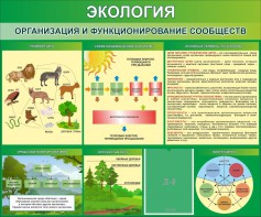 Стенд "Экология. Организация и функционирование сообществ" - fgospostavki.ru - Новочеркасск