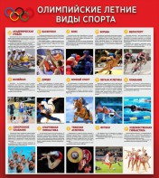 Стенд "Олимпийские летние виды спорта" - fgospostavki.ru - Новочеркасск