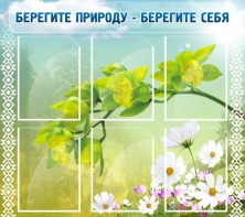 Стенд "Берегите природу - берегите себя" - fgospostavki.ru - Новочеркасск