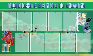 Стенд "Подготовка к ЕГЭ и ОГЭ по биологии" Вариант 2 - fgospostavki.ru - Новочеркасск